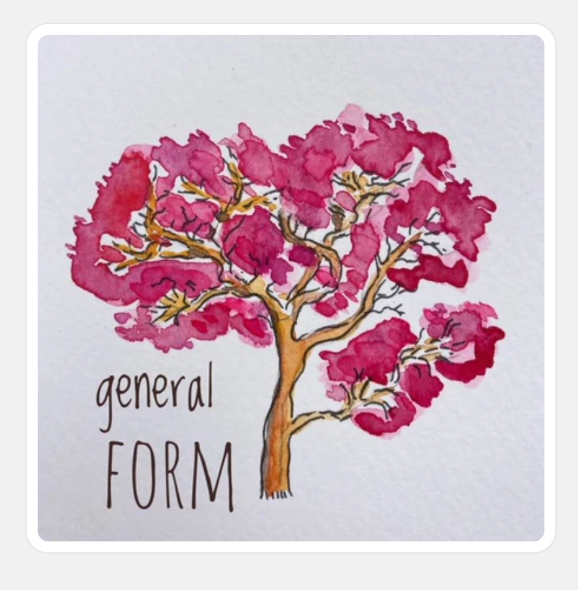 Acer circinatum Burgundy Jewel