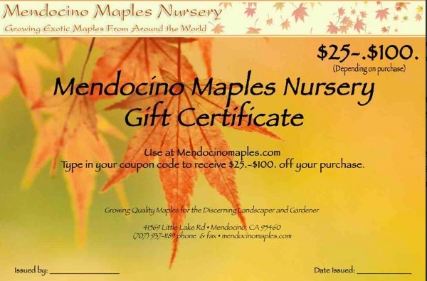 Mendocino Maples Nursery Gift Card