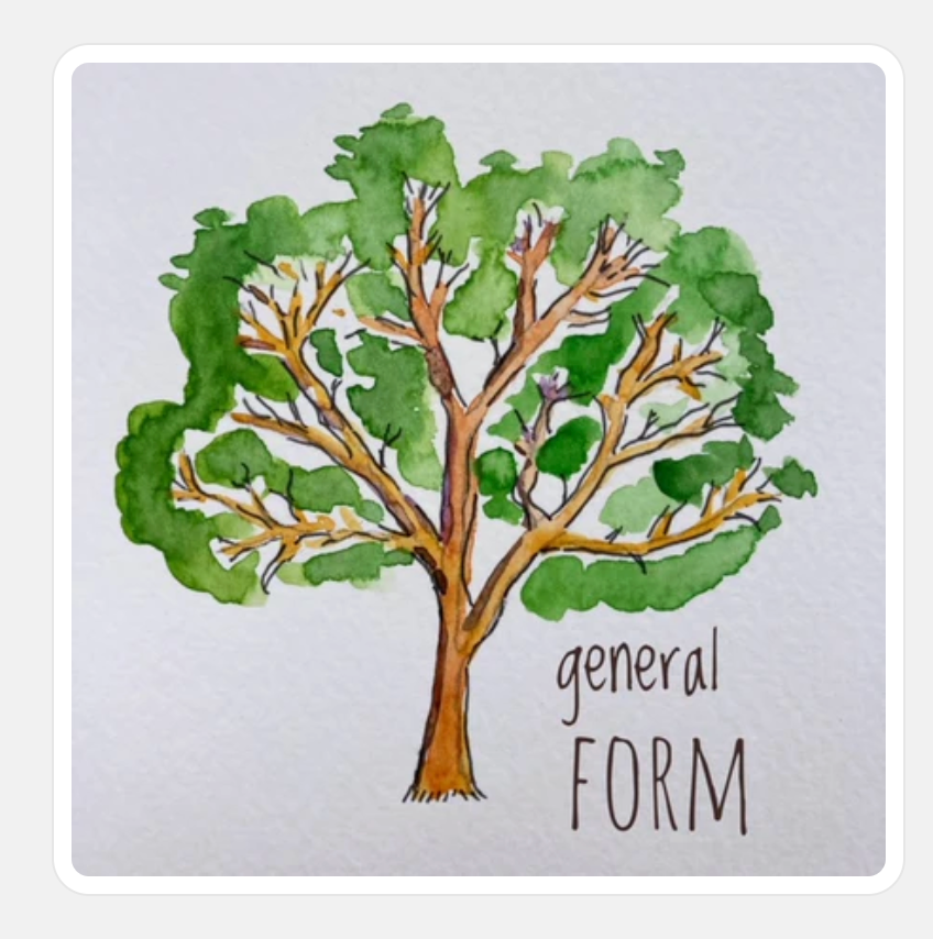 Acer pseudoplatanus Whorley