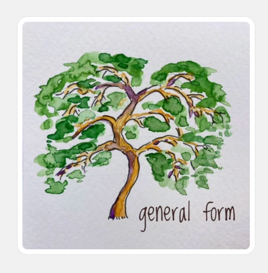 Germaine's Gyration
